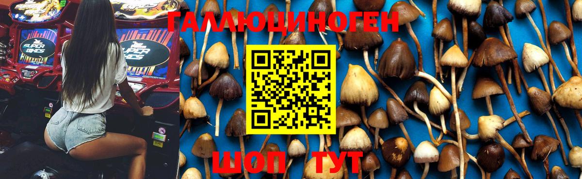 Галлюциногенные грибы Magic Shrooms Ишимбай