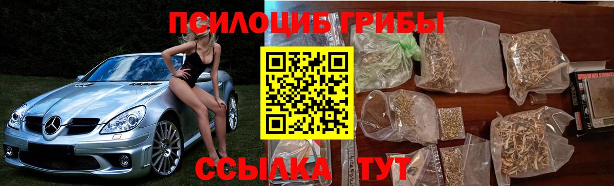 Ишимбай  Псилоцибиновые грибы Magic Shrooms  Вход с VPN 